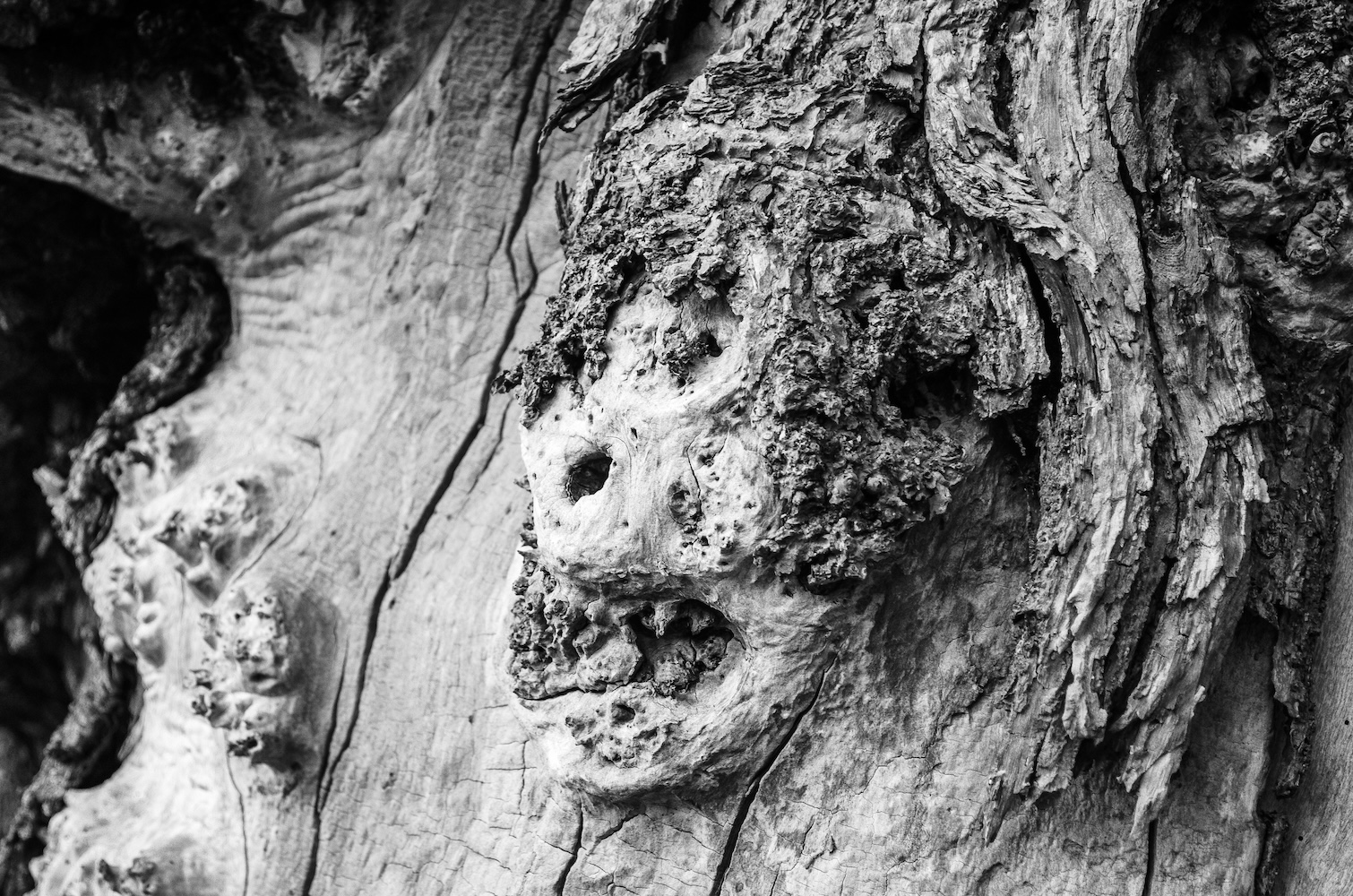 Radu ILIE - Archives [0009;0002]